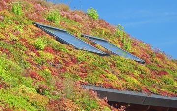 Craigs End living roof systems
